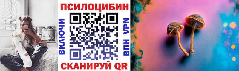 где купить Няндома Псилоцибиновые грибы мицелий