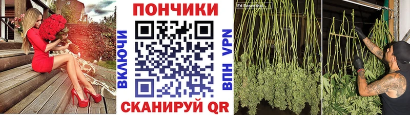 Конопля индика  Няндома 